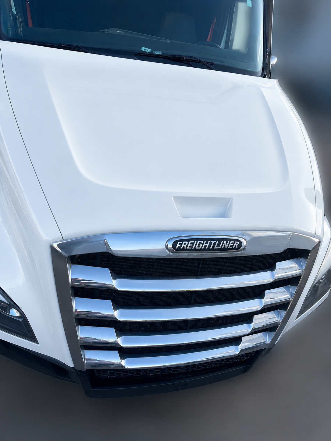 Freightliner Cascadia Hood